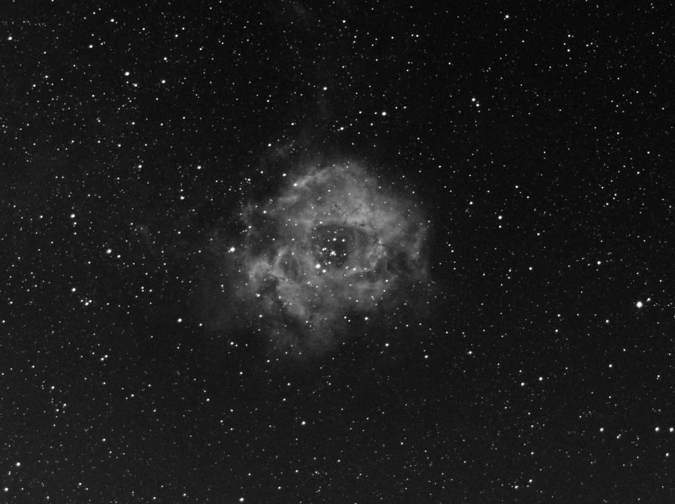 Rosette nebula